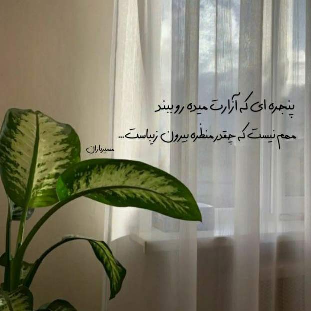 آهنگ تا اینجاش رفت خب باقیشم میره شایع