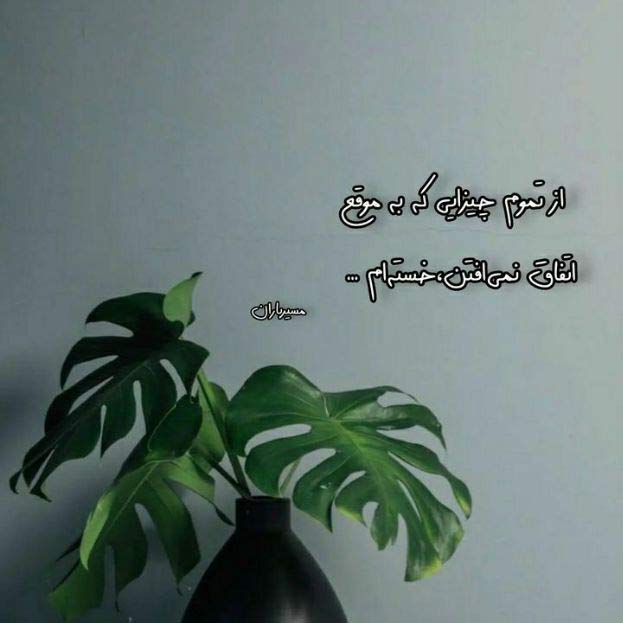 دلم تنگ صدات نسخ خنده هات جواد پناهی