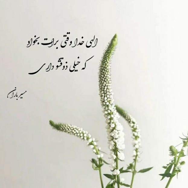 آهنگ دلوم گیره وی اسمان