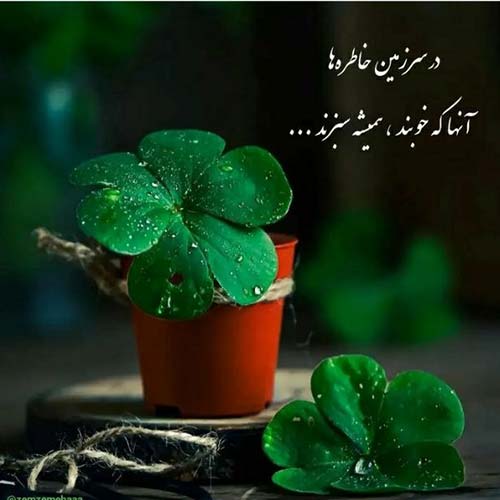 آهنگ دختر ایرونی هم صدای من خون شرقیه تو رگای من