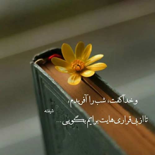 دانلود اهنگ سر کوه سیاه اجرای زنده ابوالفضل رحیمی MP3