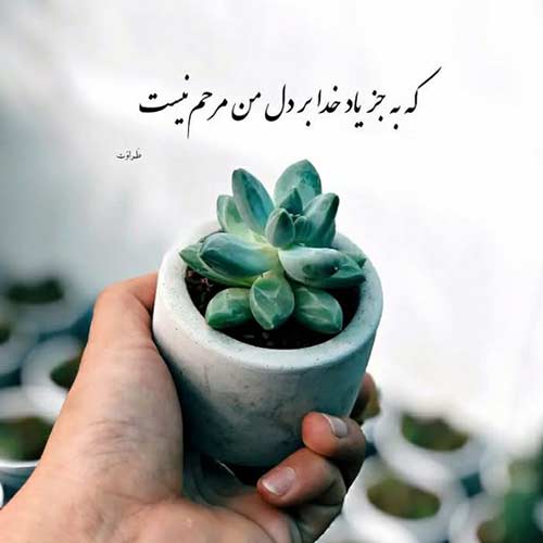 اهنگ دیدی شد رسیدیم بهم آره شکر با صدای پسر اینستا