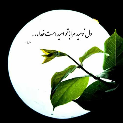 دانلود اهنگ دلم گرفت ای همنفس پرم شکست با صدای مرد اینستا