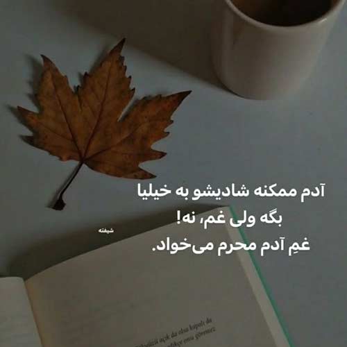 اهنگ هر چی تو قلبت داشتی رو برگ گل نوشتی با صدای زن اینستا